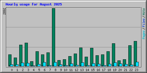 Hourly usage for August 2025