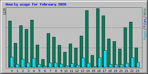 Hourly usage for February 2026